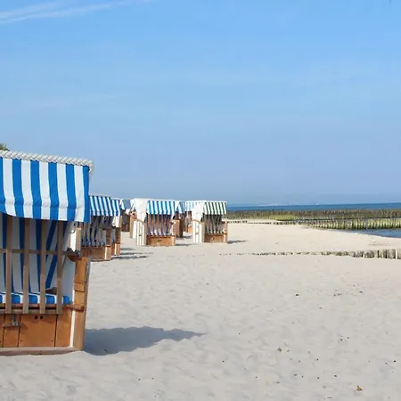 Robbe Im Ostseeidyll Am Waldrand