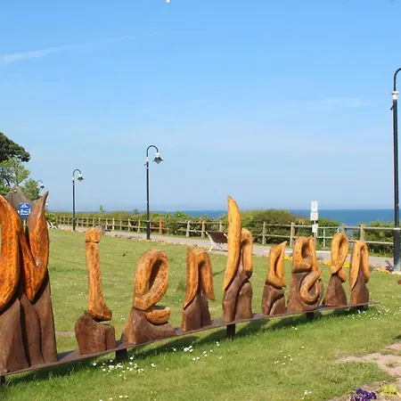 Robbe Im Ostseeidyll Am Waldrand *