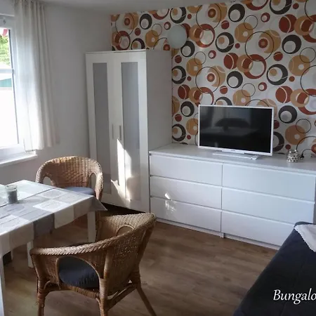 Robbe Im Ostseeidyll Am Waldrand *