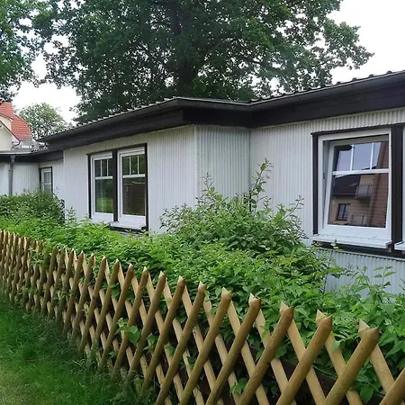 Robbe Im Ostseeidyll Am Waldrand