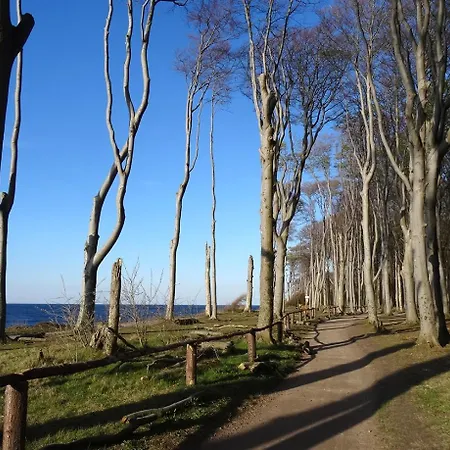 Ferienhaus Robbe Im Ostseeidyll Am Waldrand
