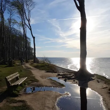 Robbe Im Ostseeidyll Am Waldrand 펜션