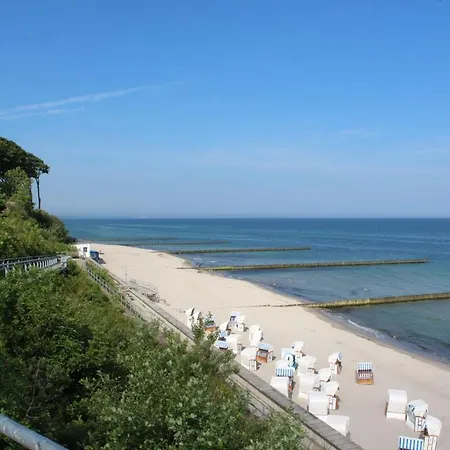 Robbe Im Ostseeidyll Am Waldrand