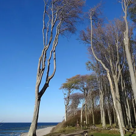 Robbe Im Ostseeidyll Am Waldrand 오스치바드 닌하겐