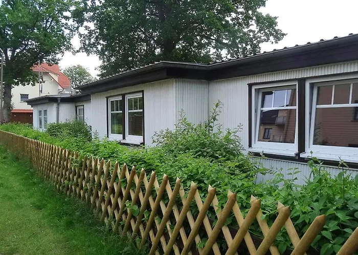 Robbe Im Ostseeidyll Am Waldrand *